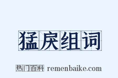猛戾组词是什么意思的图片